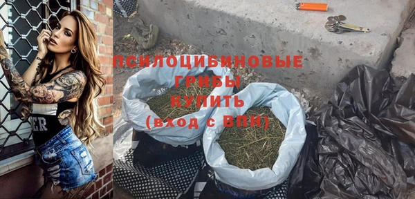 Альфа ПВП Абаза