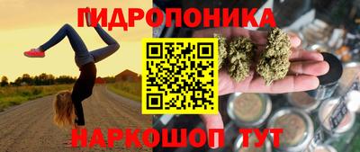 индика Нальчик