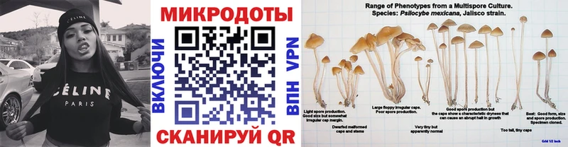 как найти наркотики  Азов  Галлюциногенные грибы ЛСД 