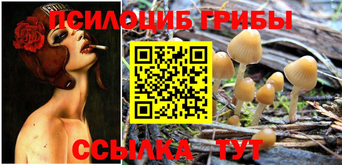 Псилоцибиновые грибы Magic Shrooms  Вход с VPN  Галлюциногенные грибы мухоморы  Азов 